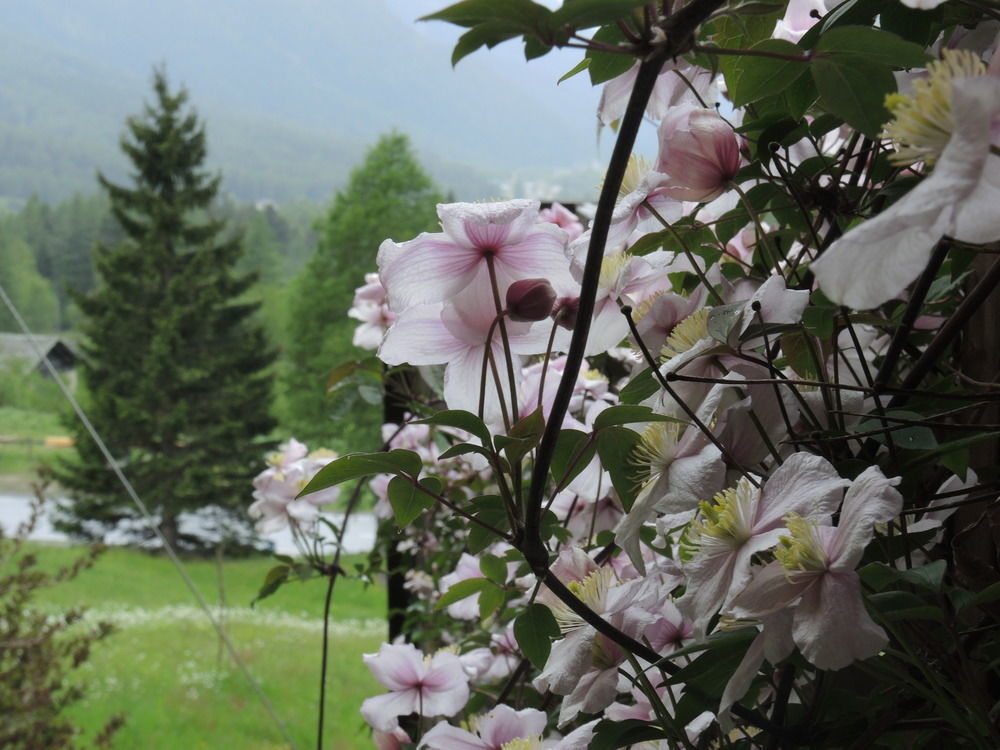 B&B Pranzaira Vicosoprano Buitenkant foto